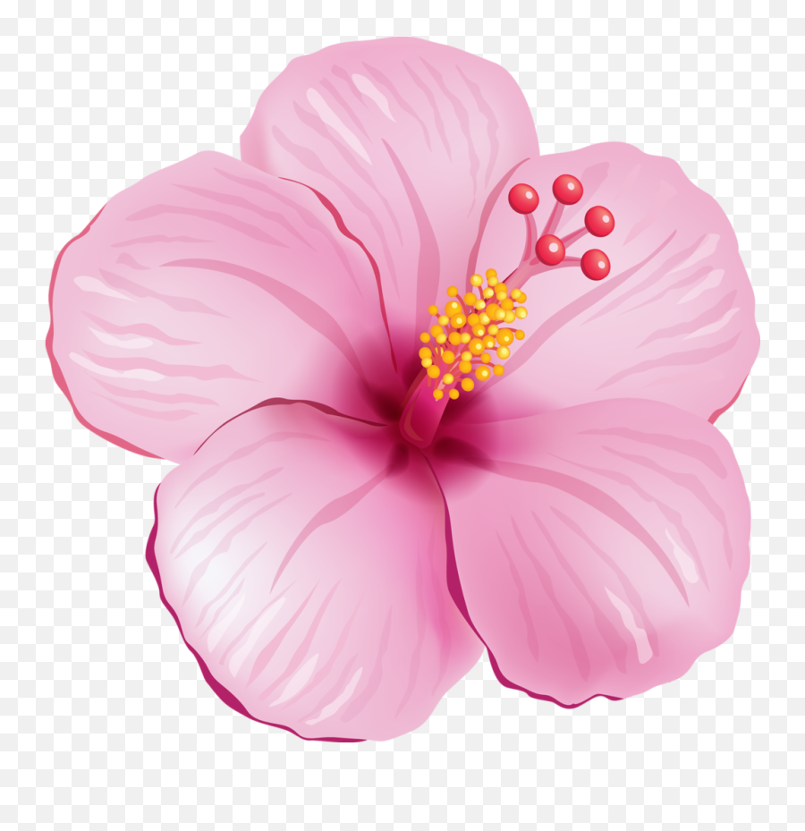 Tropical Flower Clipart - Tropical Flowers Clipart Emoji,Hibiscus Emoji