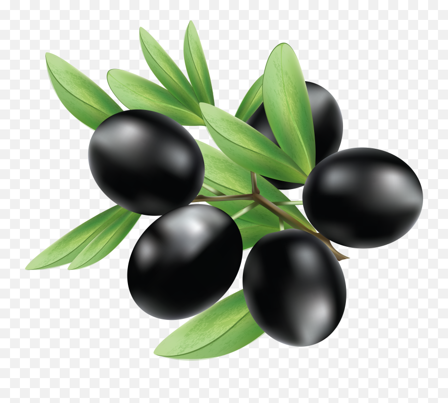 Black Olives Png U0026 Free Black Olivespng Transparent Images - Olives En Png Emoji,Olive Emoji