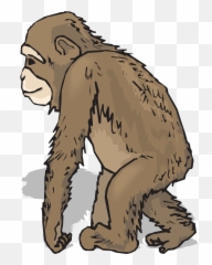 Feet Hands Leaning Walking Animal - Monkey Clip Art Emoji