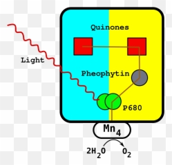 Psii New Design - Reaction Centre Emoji