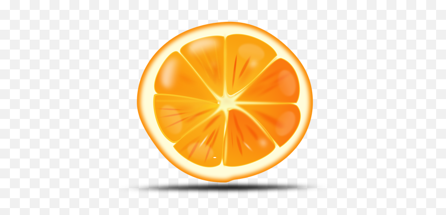 Pedaço De Laranja - Florida Oranges Png Cartoon Emoji,Tangerine Emoji