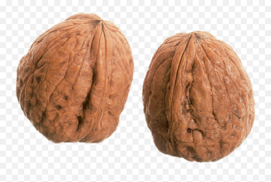 A Wrinkly Pair Of Nuts Freetoedit Nuts Walnuts Walnut - Wrinkly Walnuts Emoji,Nuts Emoji