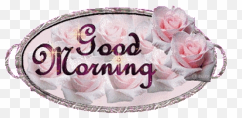 Top Tray Shrink Packer Stickers For Android U0026 Ios Gfycat - Garden Roses Emoji,Cheesehead Emoji