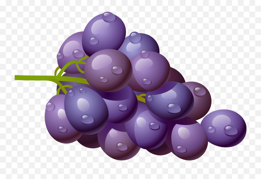 Grapes Grape Download Fruit Clip Art Free Clipart Of Fruits - Transparent Background Grape Clipart Emoji,Grapes Emoji