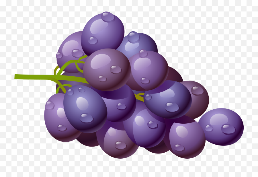 Featured image of post The Best 18 Cartoon Grapes Transparent Background