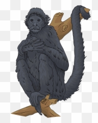 Black - Headed Spider Monkey Clipart Free Download Mono Araña Dibujo Animado Emoji,Black Widow Emoji