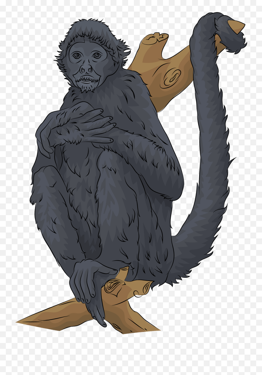 Black - Headed Spider Monkey Clipart Free Download Mono Araña Dibujo Animado Emoji,Black Widow Emoji