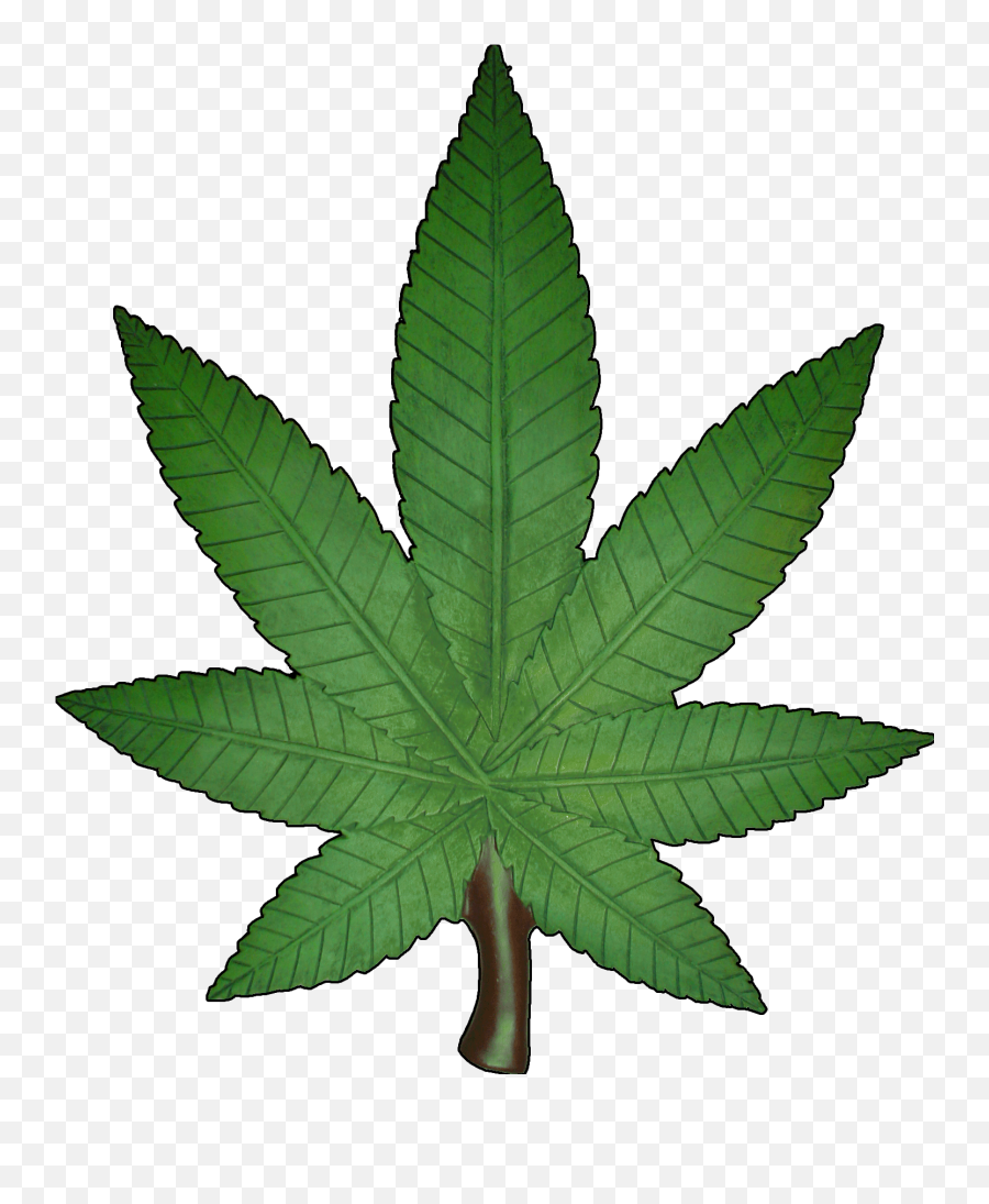 Marijuana Weed Cannabis Leaf Png - Blunts Transparent Background Emoji,Marijuana Emoji