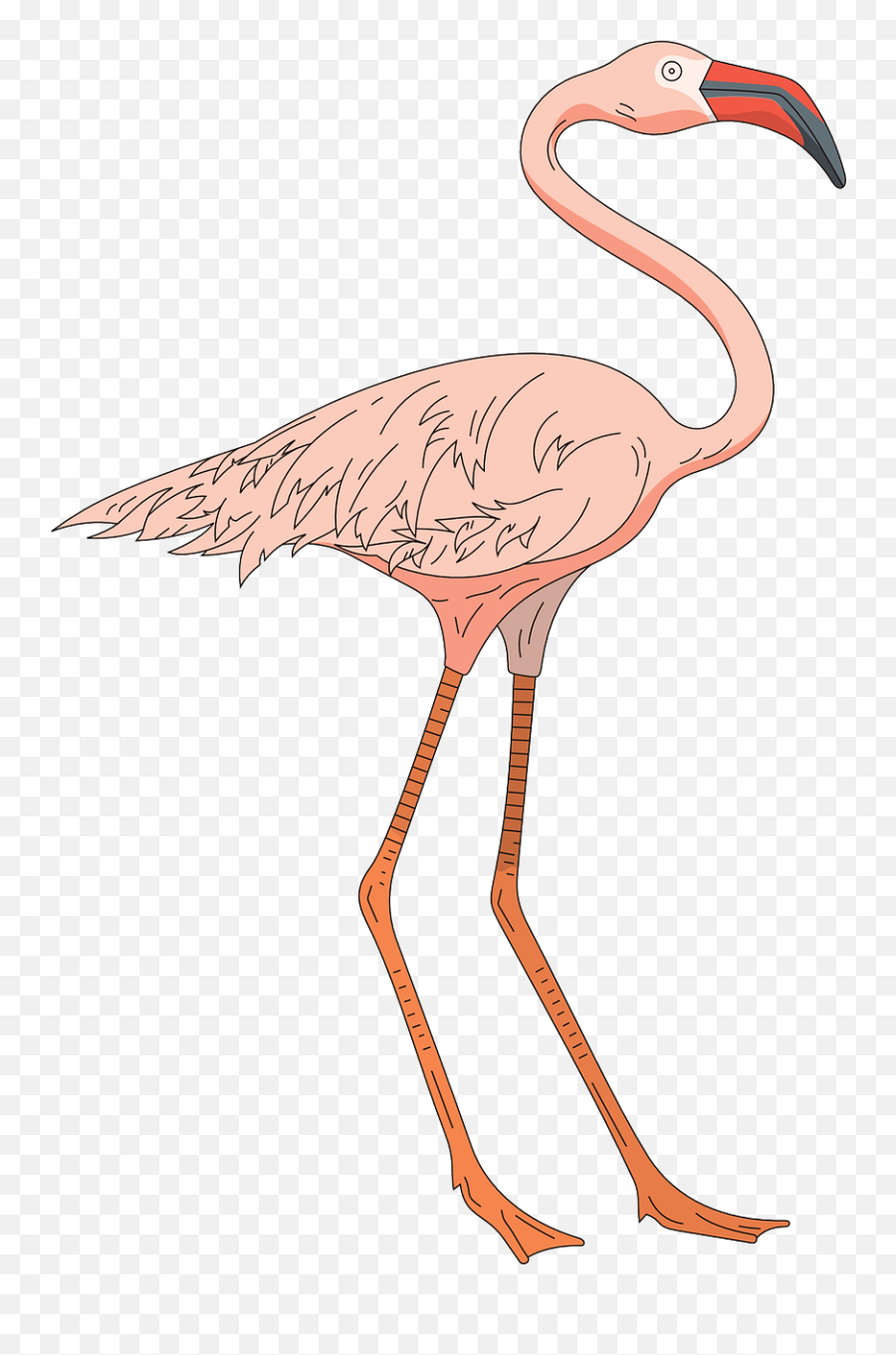 Pink Bird Wings Flamingo Long - Flamingo Clip Art Emoji,Pink Flamingo Emoji