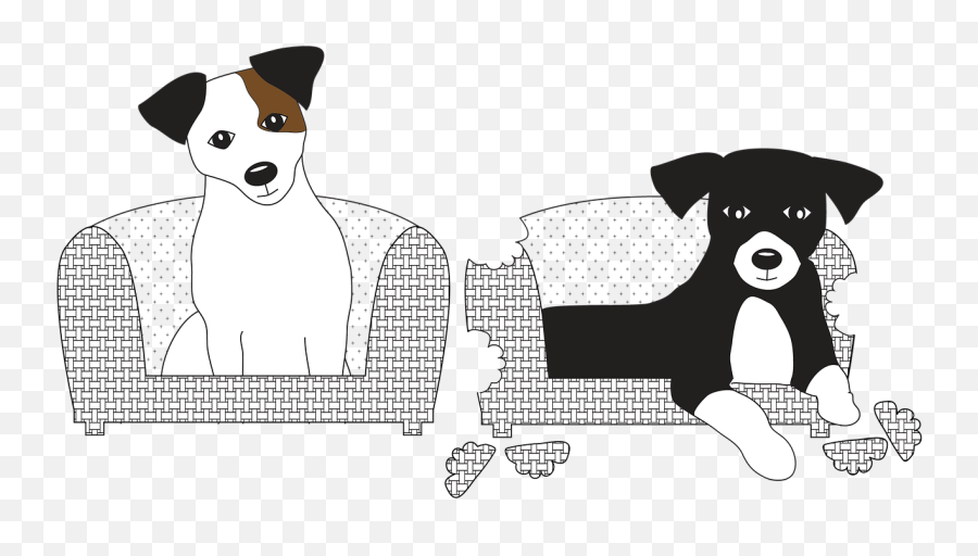 Dog Jack Russell Jack Russell Terrier - Transparent Png Jack Russel Emoji,Union Jack Emoji