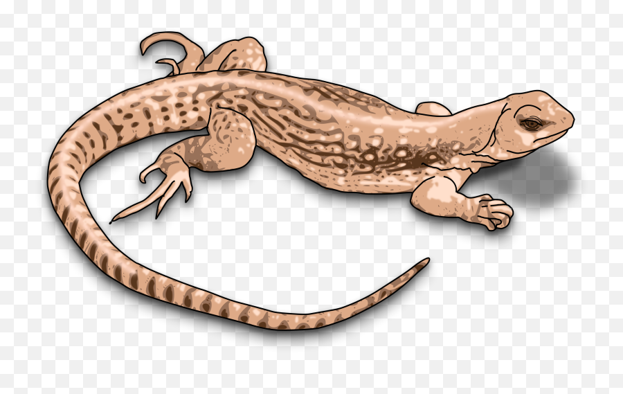 Brown Lizard Vector Image - Lizard Clipart Emoji,Dragon Emoji