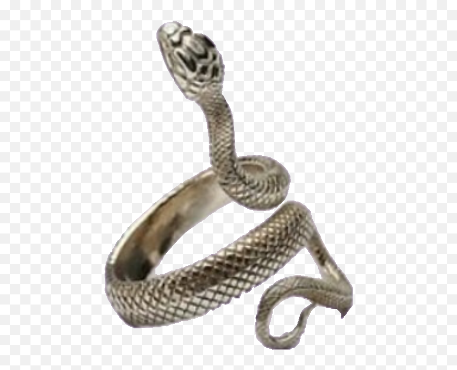 Png Snake Snakering Ring Freetoedit - Snake Ring Png Emoji,Snake Emoji Png