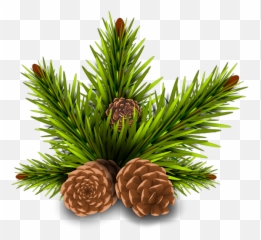 Freetoedit Pinos Brown Green Pinetree Tree Overlay Out - Transparent Background Free Pine Cone Emoji,Pinecone Emoji