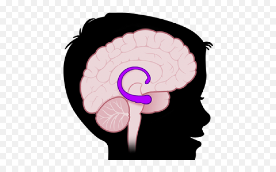 Brain Png Transparent Png - Clip Art Emoji,Brain Emoji Png