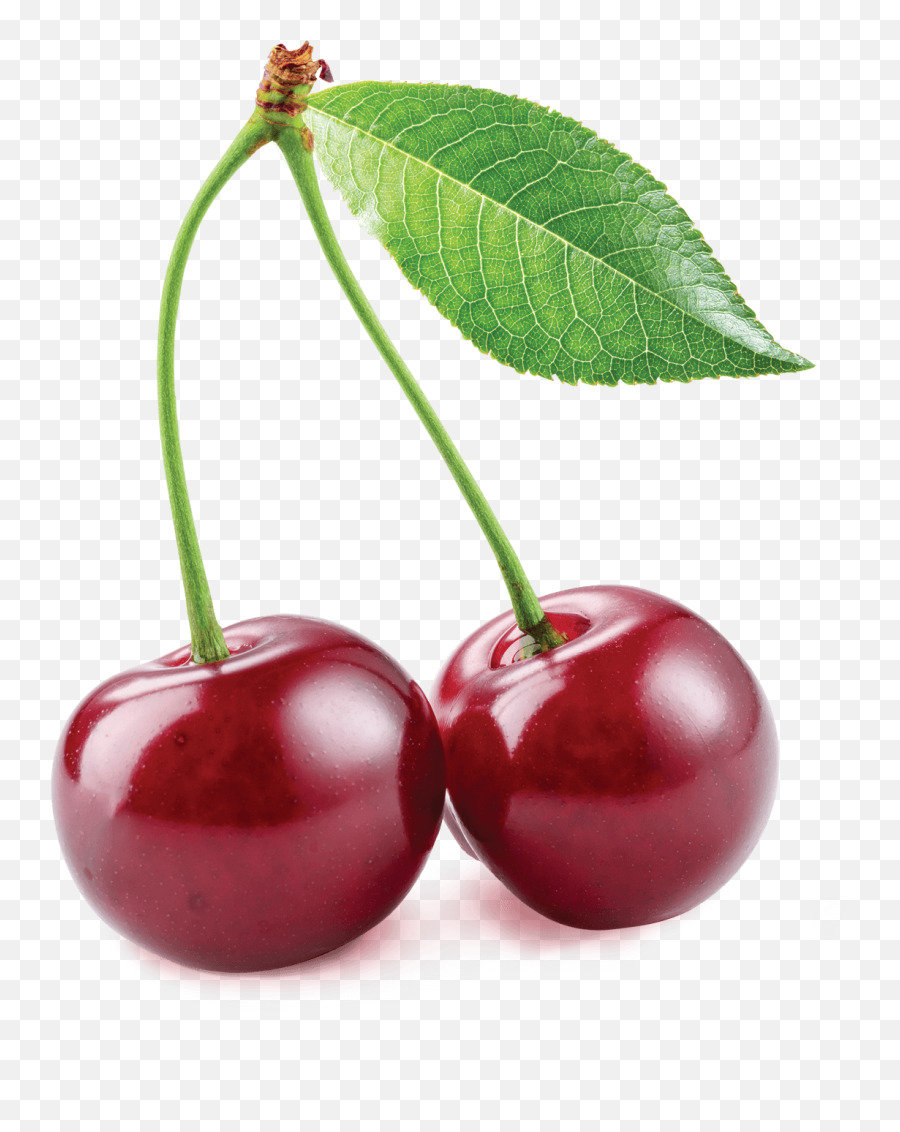 Emojipedia Cherry Sticker - Sour Cherry Png Emoji,Cherries Emoji