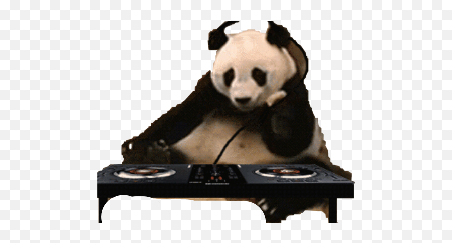 Music Dj Panda Spinningvinyl Freetoedit - Panda Emoji,Panda Emoji Keyboard