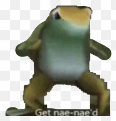 Nae Naenae Dank Dankmeme Meme Frog Pepethefrog - Nae Nae D Frog Emoji,Nae Nae Emoji