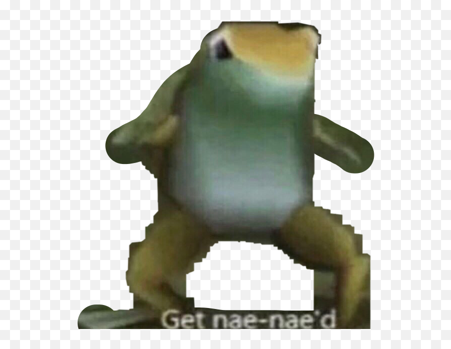 Nae Naenae Dank Dankmeme Meme Frog Pepethefrog - Nae Nae D Frog Emoji,Nae Nae Emoji