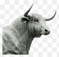 Bull Horns Livestock Ruminant - Emoji