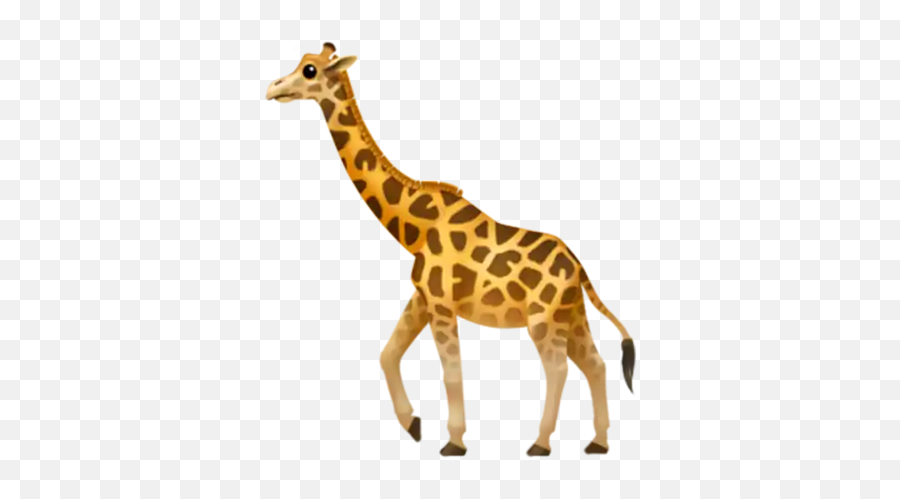 Giraffe - Transparent Background Giraffe Clipart Emoji,Iphone Emoji