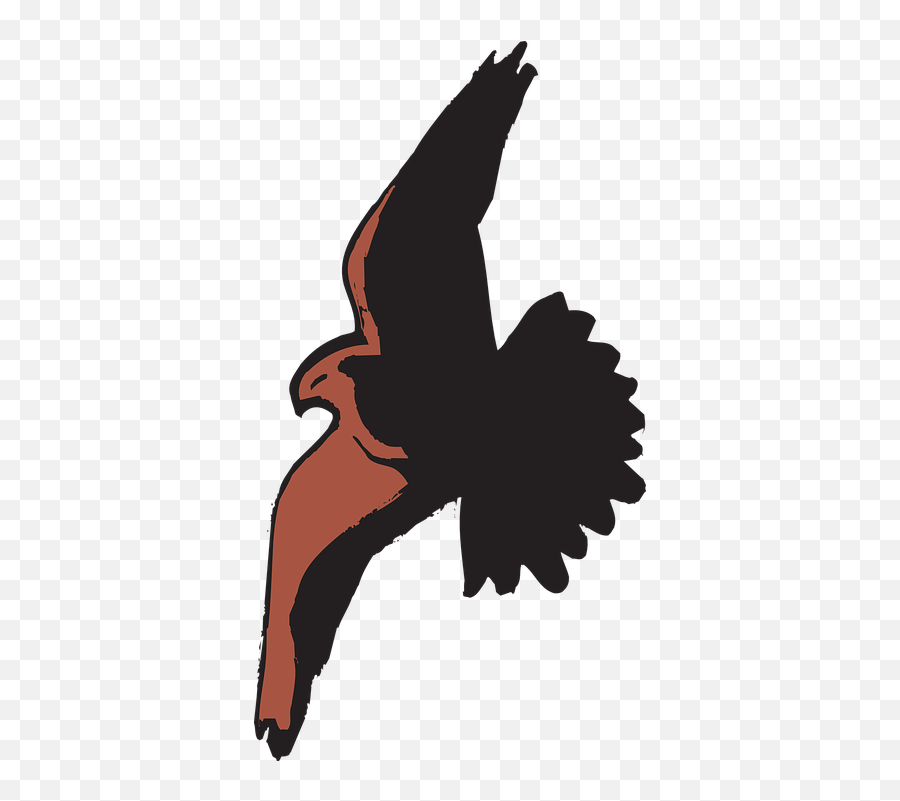 Free Spread Wings Vectors - Passaro Em Sombra Emoji,Hummingbird Emoticon