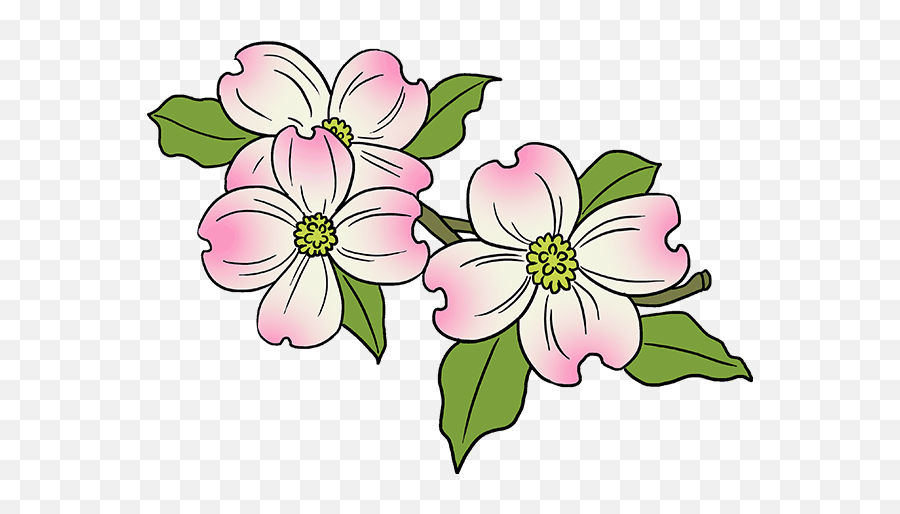 How To Draw Dogwood Flowers - Really Easy Drawing Tutorial Dogwood Flower Clip Art Emoji,Pink Flower Emoji