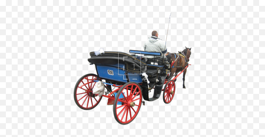Free Png Images - Dlpngcom Horse With Carriage Png Emoji,Horse And Muscle Emoji