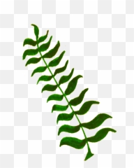Onlinelabels Clip Art - Leaves And Twigs Png Transparent Elodea Plant Emoji