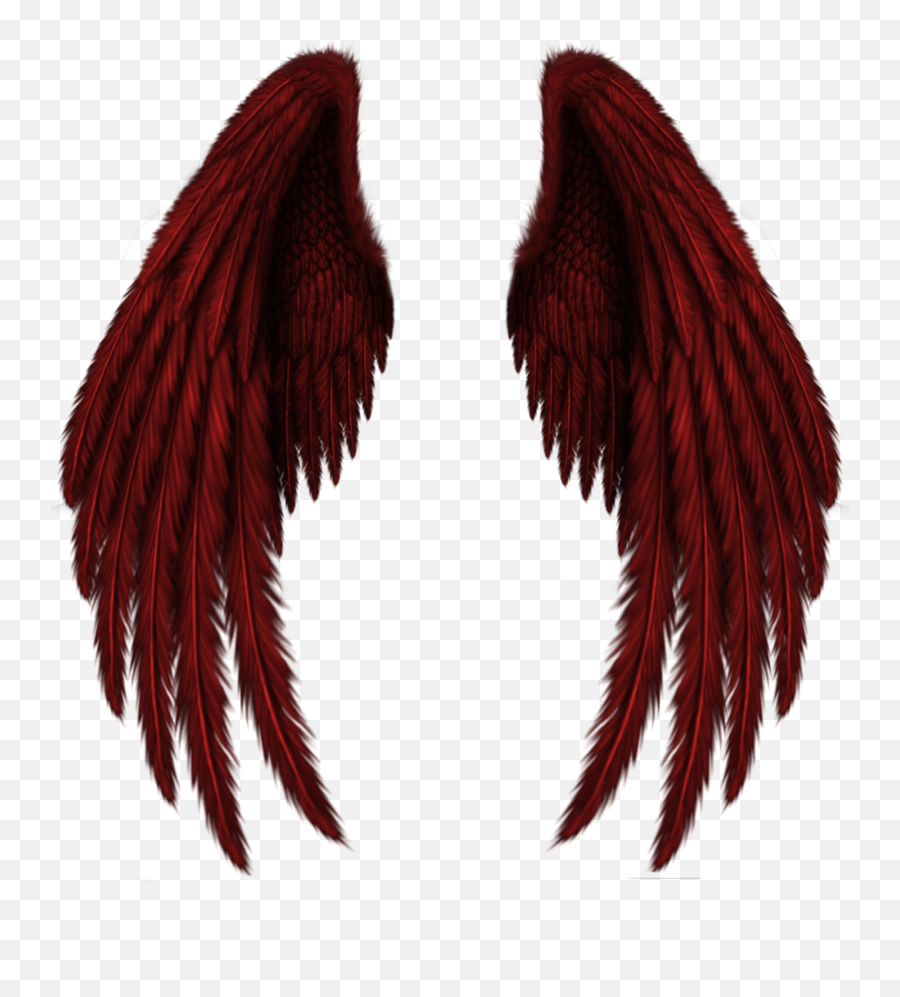 Marco Antonio - Realistic Dark Angel Wings Emoji,Speed Demon Emoji