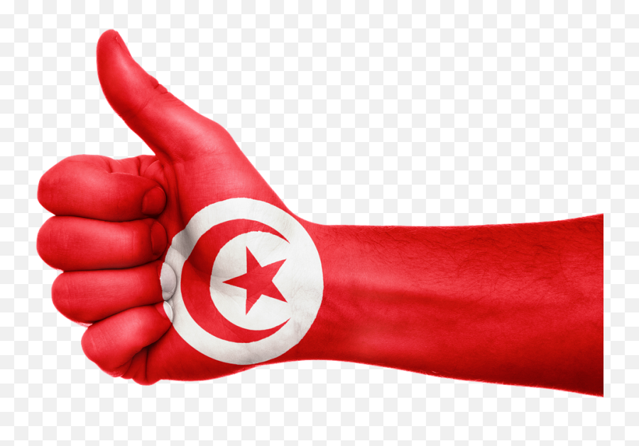 Tunisia Flag Hand - Bangladesh All National Flag Emoji,Tunisia Flag Emoji