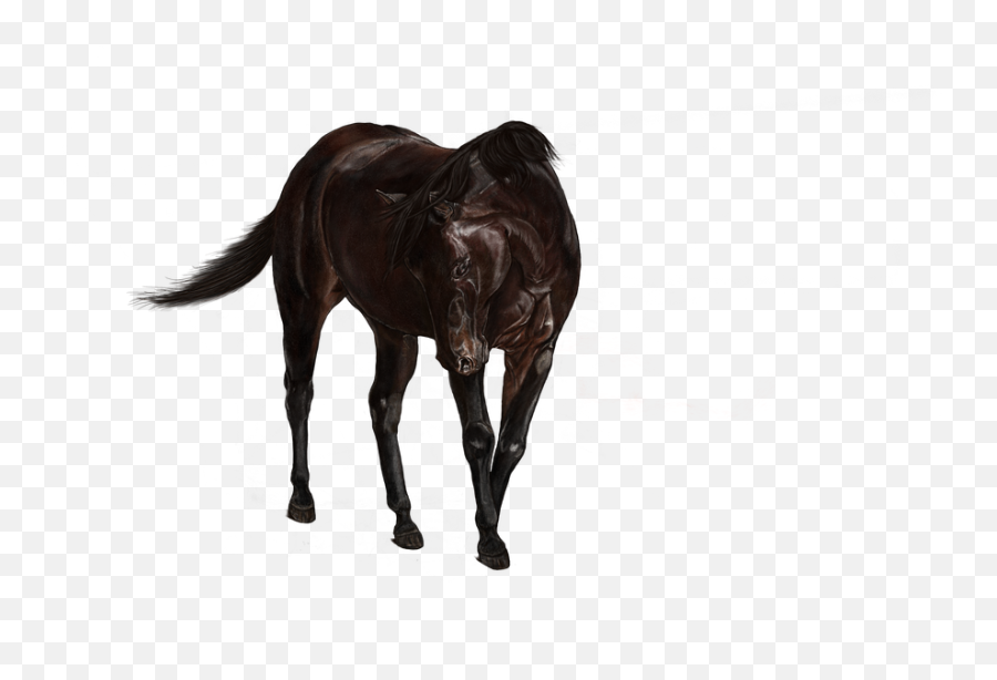 Horse Standing Brown Digital - Mane Emoji,Night Horse Emoji