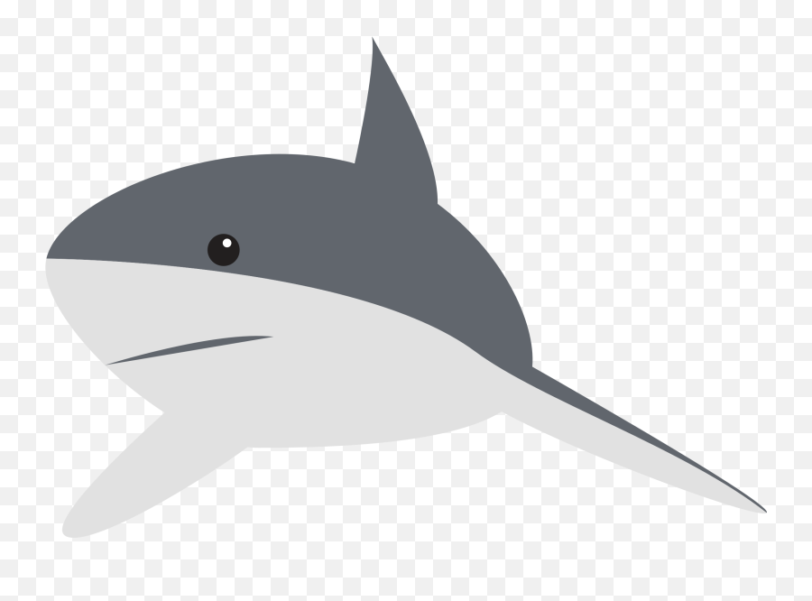 Vector Sharks Realistic Transparent - Gray Reef Shark Clipart Emoji,Shark Emojis