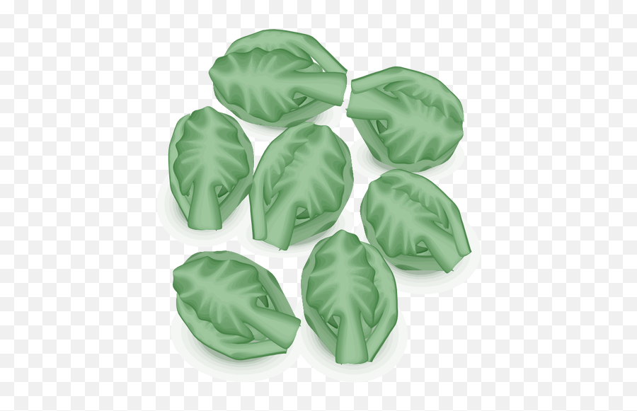Brussel Sprouts Vector Image - Brussels Sprout Emoji,Recycle Paper Emoji