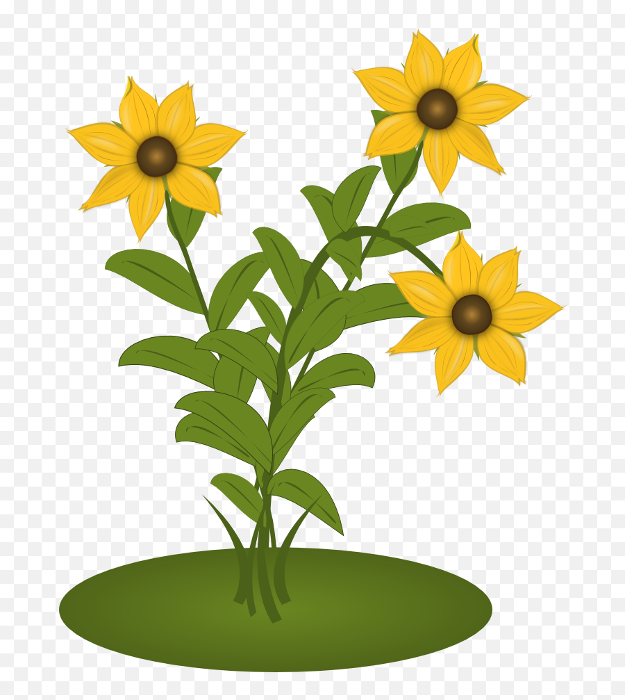 Black Eyed Susans - Sunflower Clipart Full Size Clipart Clip Art Emoji,Sunflower Emoji Png