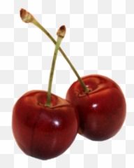 Cherries Cherry Redaesthetic Red - Aesthetic Red Pngs Emoji,Cherries Emoji