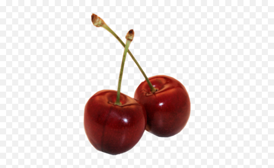 Cherries Cherry Redaesthetic Red - Aesthetic Red Pngs Emoji,Cherries Emoji