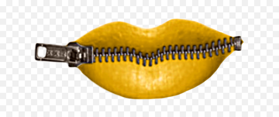 Idk Niche Fiesta Polyvore Moodboard - Gourd Emoji,Zipper Lips Emoji