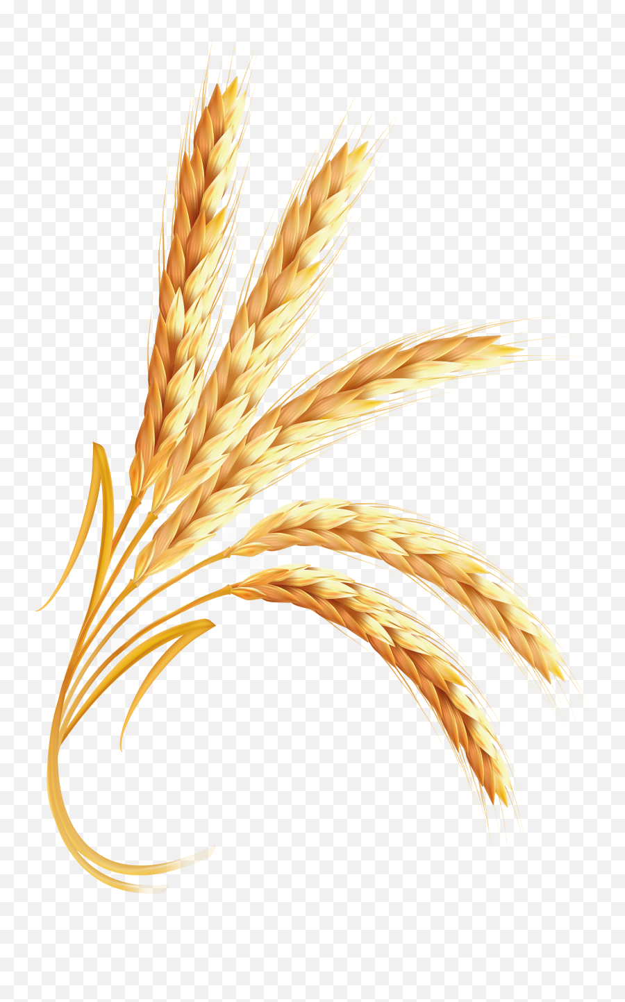 Grain Clipart Wheet Grain Wheet Emoji,Wheat Emoji