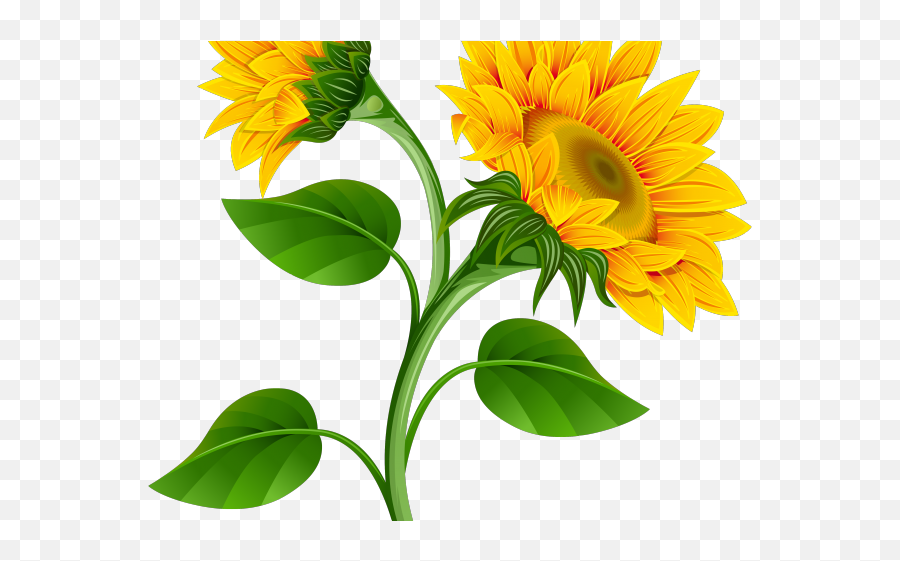 Sunflower Cartoon Transparent Background Transparent - Clipart Transparent Background Sunflower Emoji,Sunflower Emoji Png
