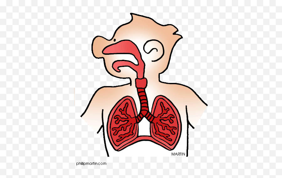 Respiratory System Transparent Png - Clip Art Respiratory Therapy Emoji,Exhaling Emoji