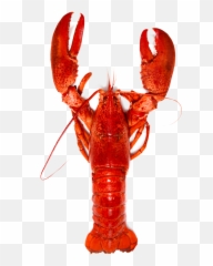 Lobster Images Free Download Clip Art - Health Benefits Of Emoji
