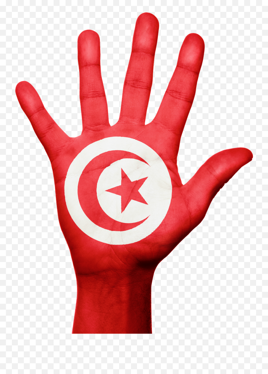 Tunisia Flag Hand National Fingers - Belarus Hand Png Emoji,Tunisia Flag Emoji