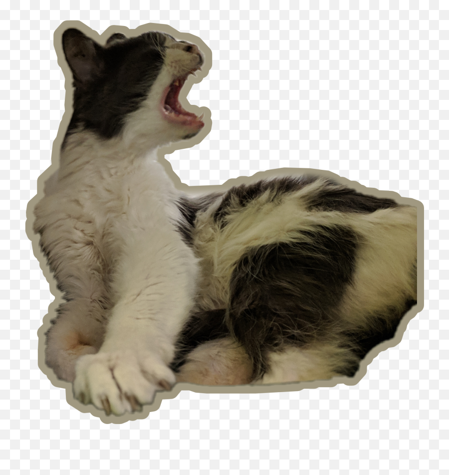 Popular And Trending Yawning Stickers On Picsart - Cat Yawns Emoji,Yawning Emoji