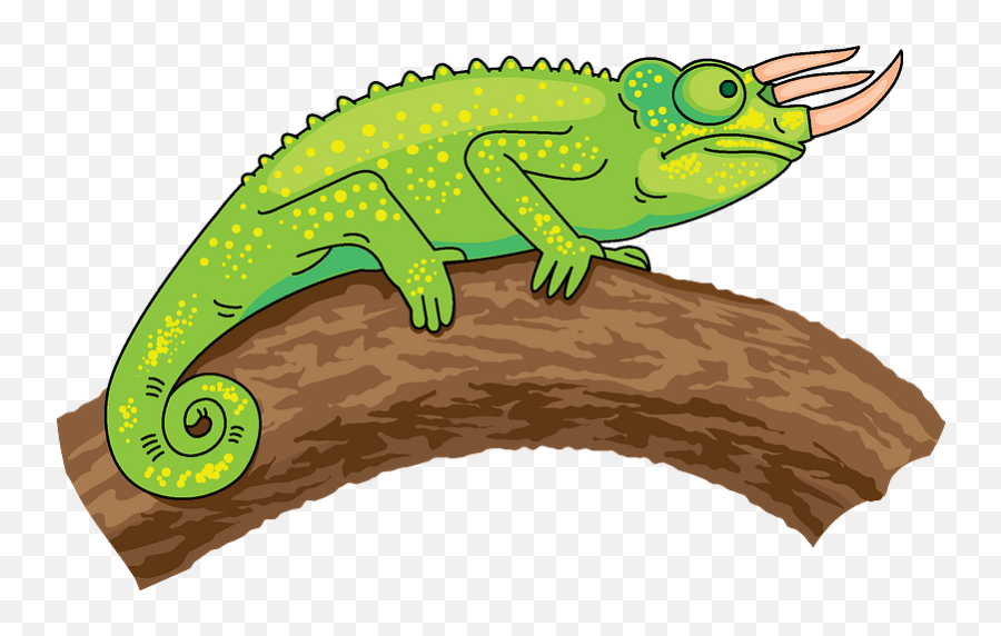 Trioceros Chameleon Clipart - Chameleon Clipart Emoji,Chameleon Emoji