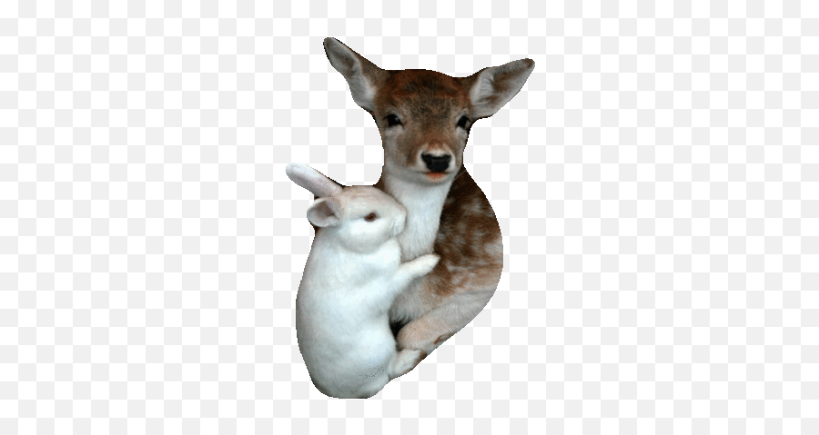 Top Stock Market Stickers For Android - Animal Figure Emoji,Whitetail Deer Emoji