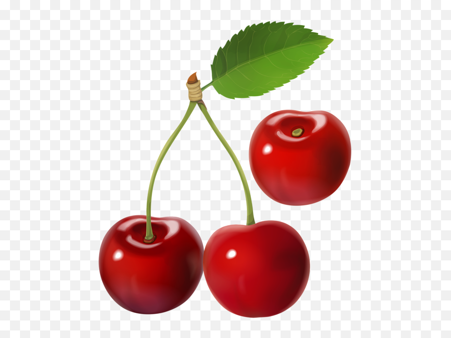 Cherry Png Images Cherry Blossom - Transparent Cherry Png Emoji,Cherries Emoji