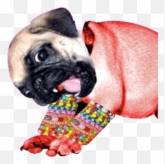Top Barking Like Dog Stickers For - Weird Dog Transparent Emoji,Barking Dog Emoji