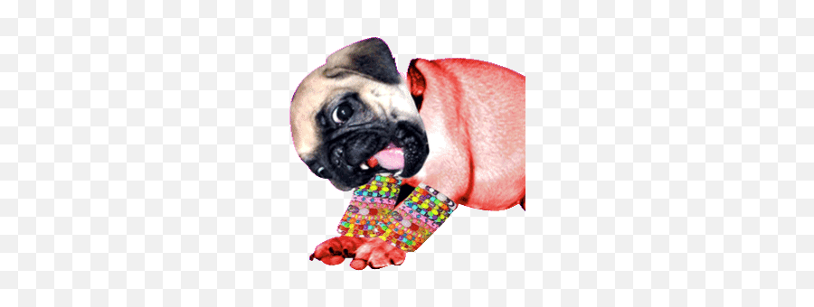 Top Barking Like Dog Stickers For - Weird Dog Transparent Emoji,Barking Dog Emoji