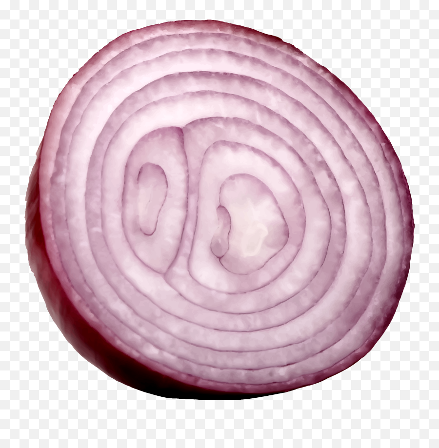 Download Free Png Slice Onion Png 38744 - Free Icons And Transparent Background Onion Slice Png Emoji,Onion Emoji