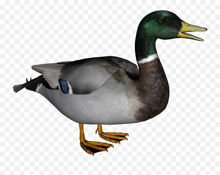 Images Free Download Free Clip Art - Duck Png Emoji,Duck Emoji Iphone